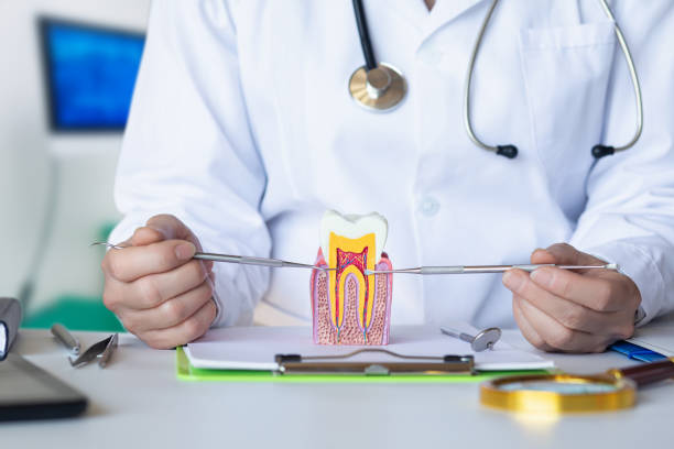 Best Pediatric Emergency Dentist in Weldon, CA